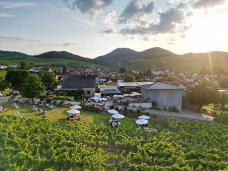 Insta Post Hoffest Bild.jpg